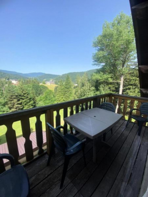 Résidence Le Diamant - Jolie deux pièces MAE-2344 Villard-De-Lans